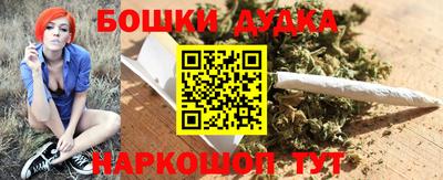 индика Балашиха