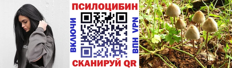 Псилоцибиновые грибы Magic Shrooms MEGA онион Подольск