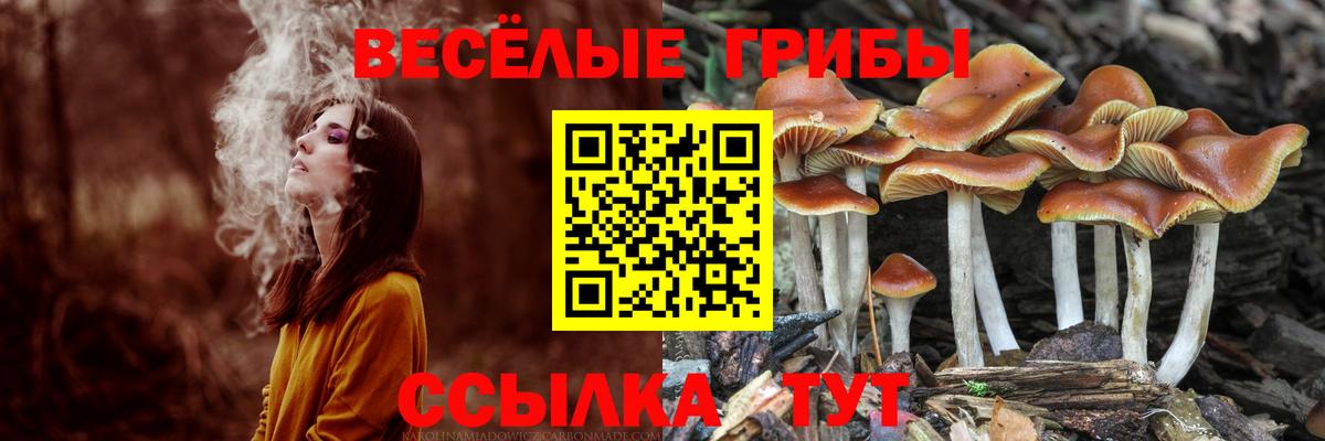 Псилоцибиновые грибы Psilocybine cubensis  Галлюциногенные грибы ЛСД  Подольск  Вход с VPN 