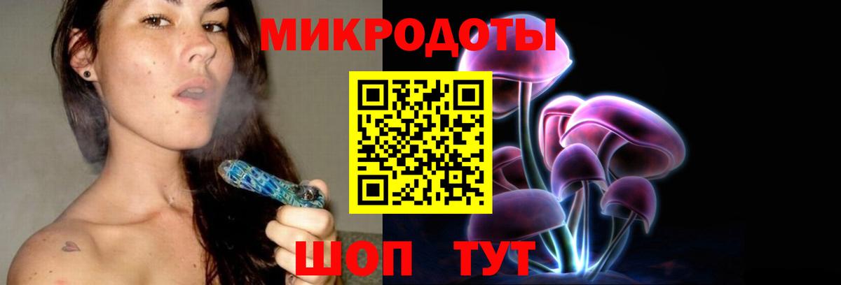 Псилоцибиновые грибы Psilocybine cubensis  Подольск  Псилоцибиновые грибы Cubensis 