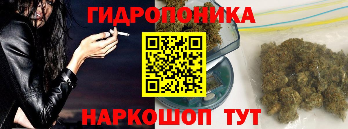 Подольск  Бошки марихуана планчик  Вход с VPN  Конопля индика 